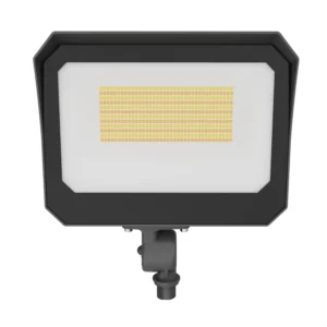 LED Flood Light